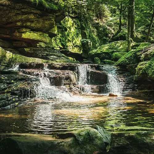 Monbachschlucht